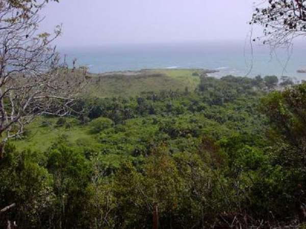 Ocean View Land On A Hill Overlooking Lush Hills,