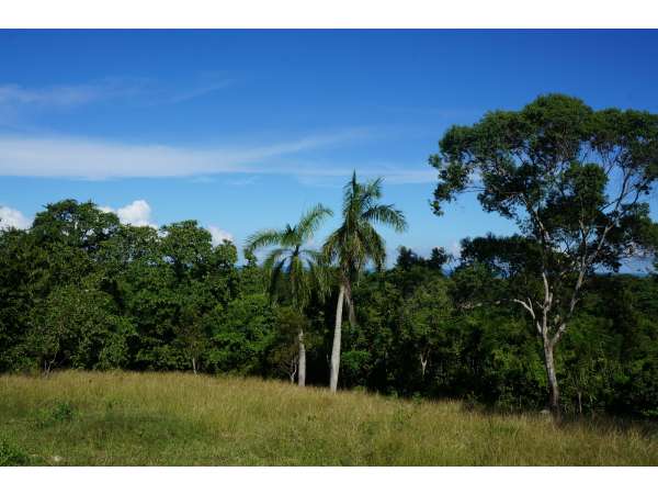 One Full Acre Of Land With Beautiful Ocean View.