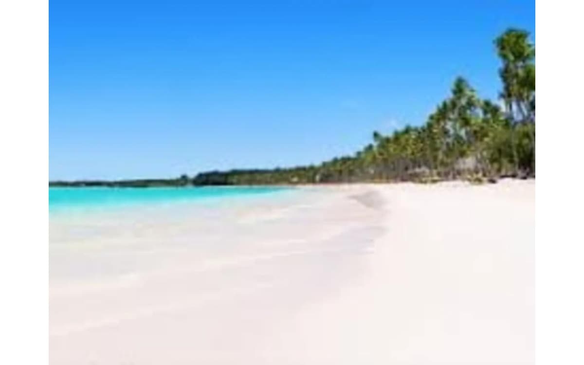 Id-3019 Three-bedroom Apartment For Sale In Punta Cana