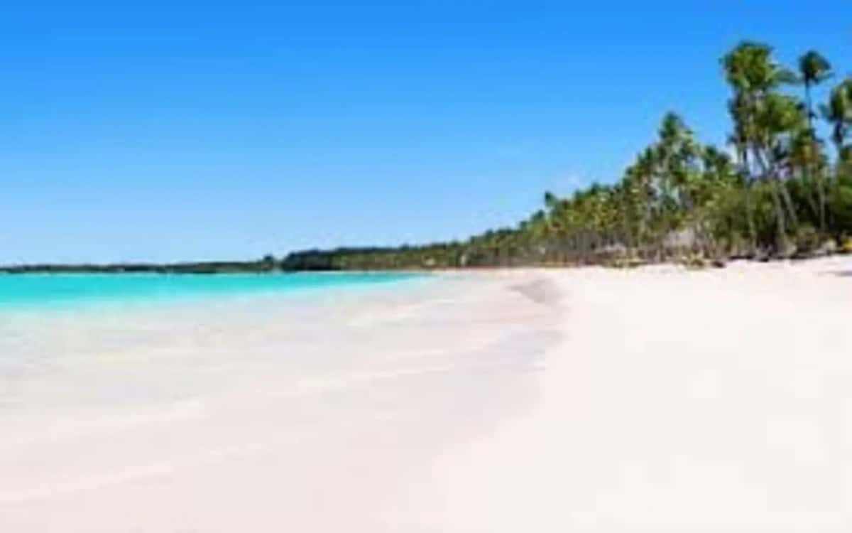 Id-3011 One Bedroom Condo For Sale In White Sands Punta Cana