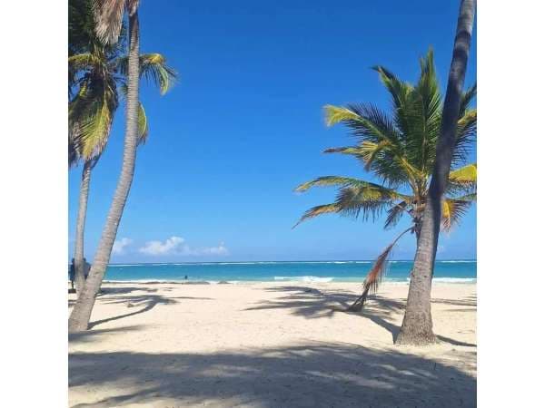 Gorgeous 2-bed 2-bath With Sea-view Terrace - Image 3