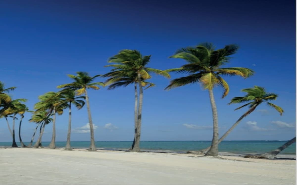 Id-2650 Two-bedroom Condo For Sale At Galia Residences Cap Cana - Image 5