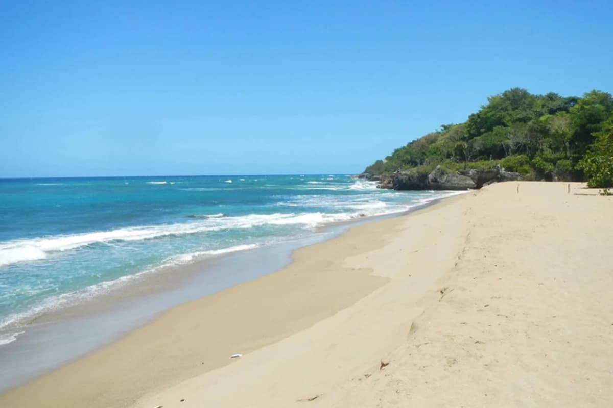 Two Bedroom Oceanview Condo On A Secluded Beach - Image 5