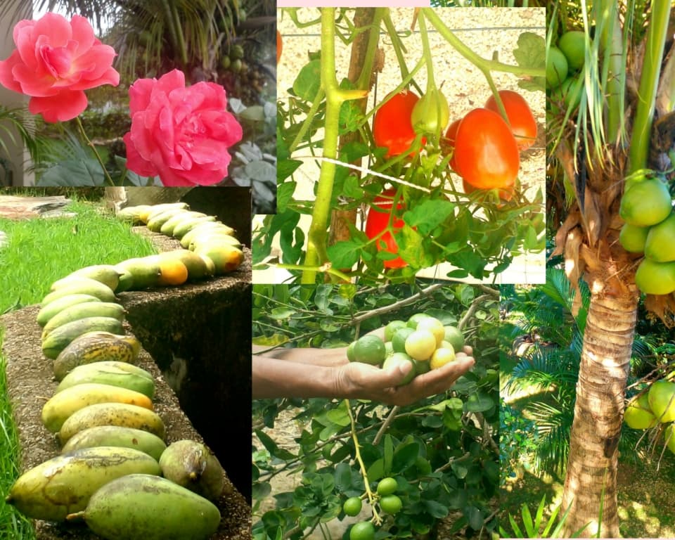 Villa Near Playa Dorada Puerto Plata - Image 5