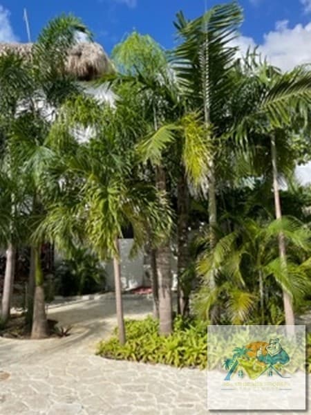 Ibiza Resedencial Villa