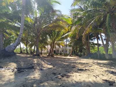 Uvero Alto Beach Front Villa With Land - Image 3