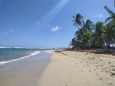 Uvero Alto Beach Front Villa With Land - Image 5