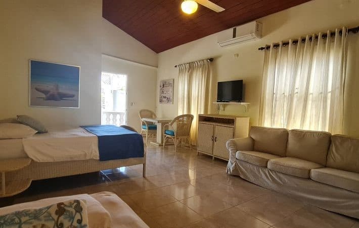 Established Cafe And Cake And Pastry Shop In Prime Location - Image 2