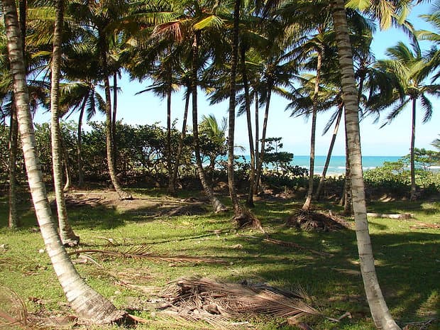 Beautiful And Amazing Virgin Land - Image 2