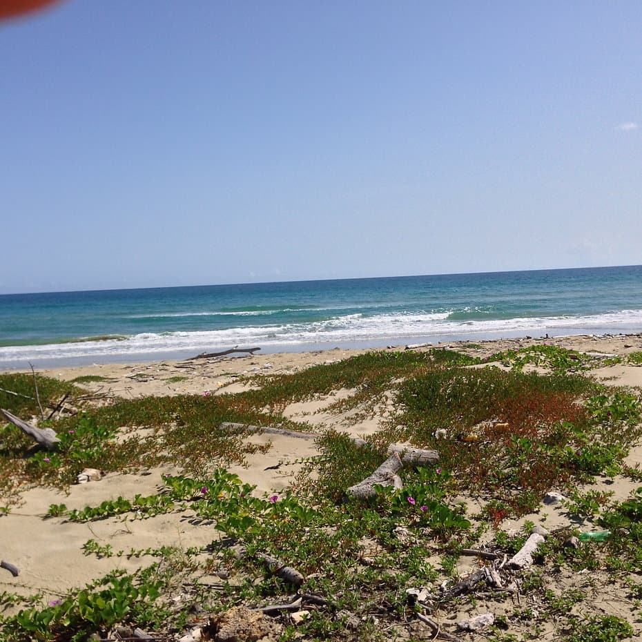 Beautiful And Amazing Virgin Land - Image 5