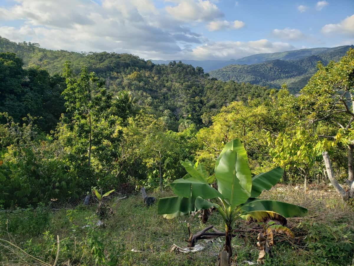 Land With Ocean View Have Fresh Water And Beside A River Have