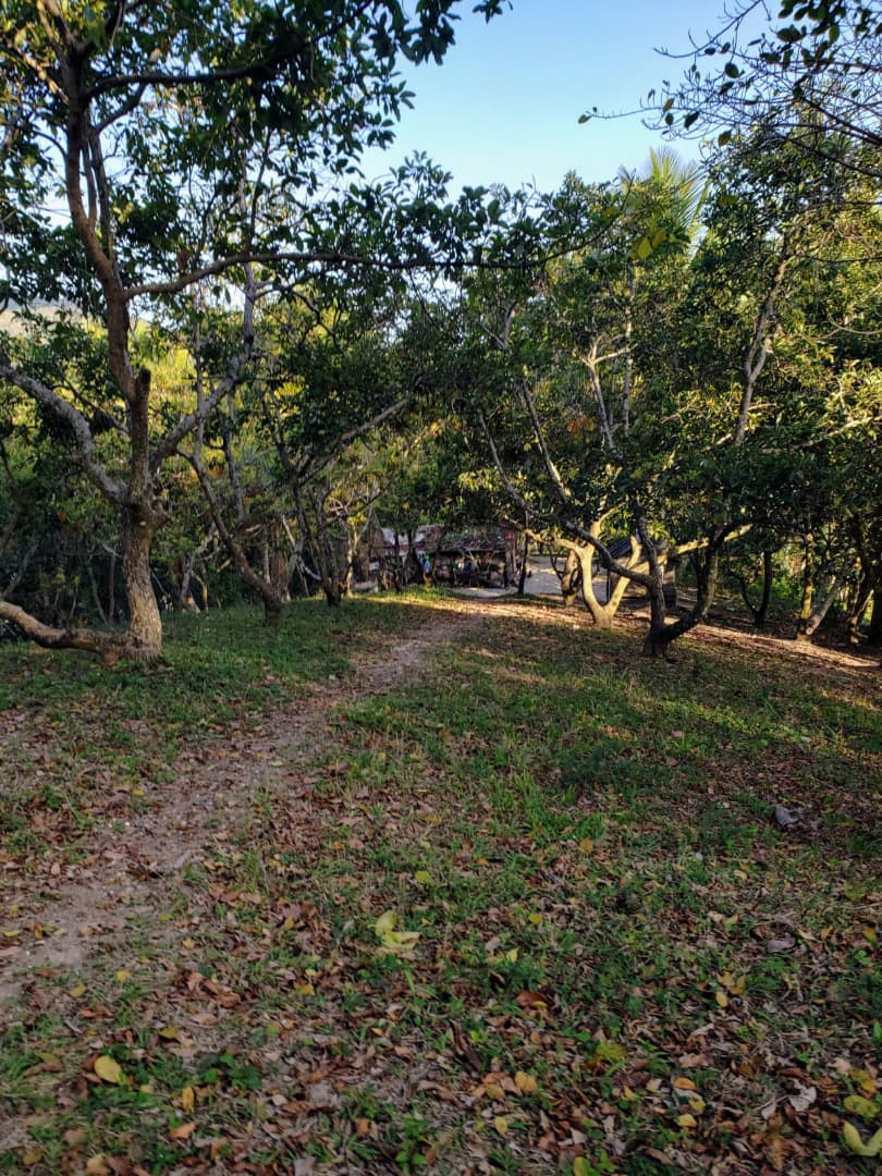 Land With Ocean View Have Fresh Water And Beside A River Have - Image 3