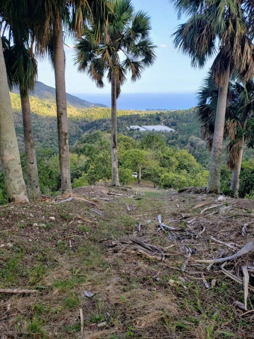 Land With Ocean View Have Fresh Water And Beside A River Have - Image 4