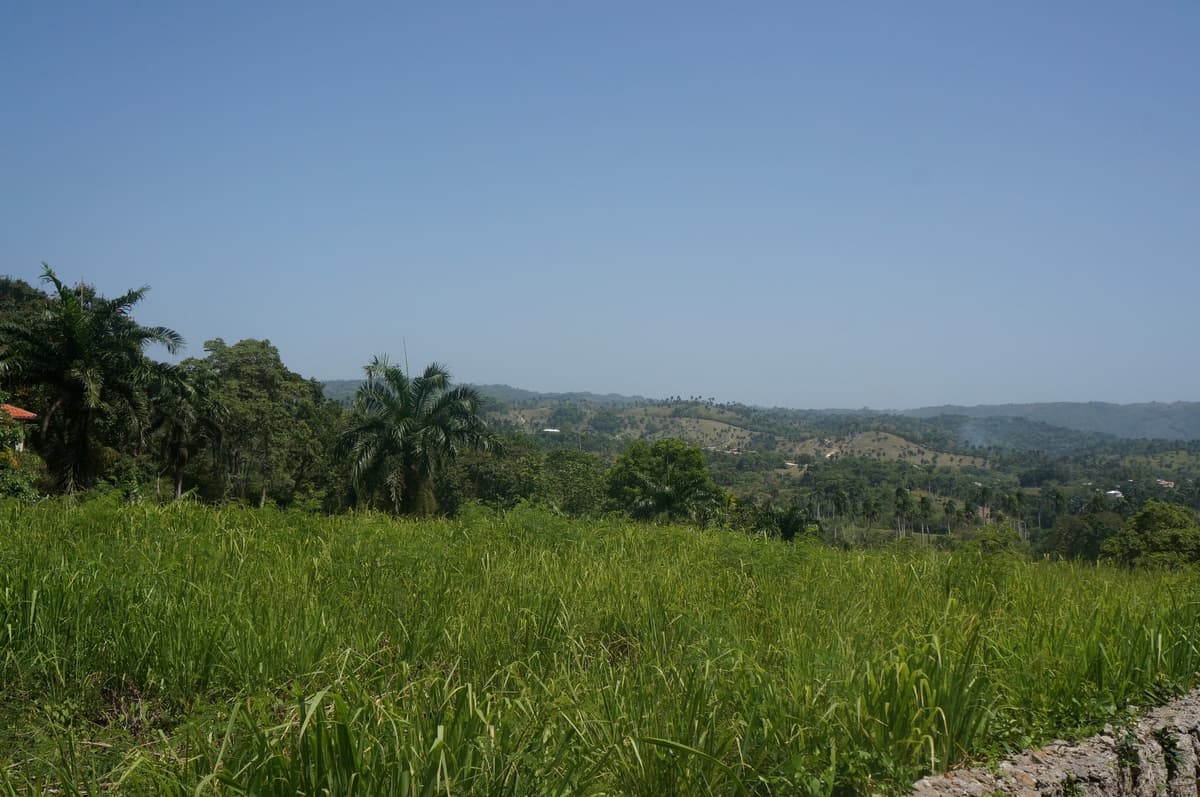 Million Dollar View - Image 2