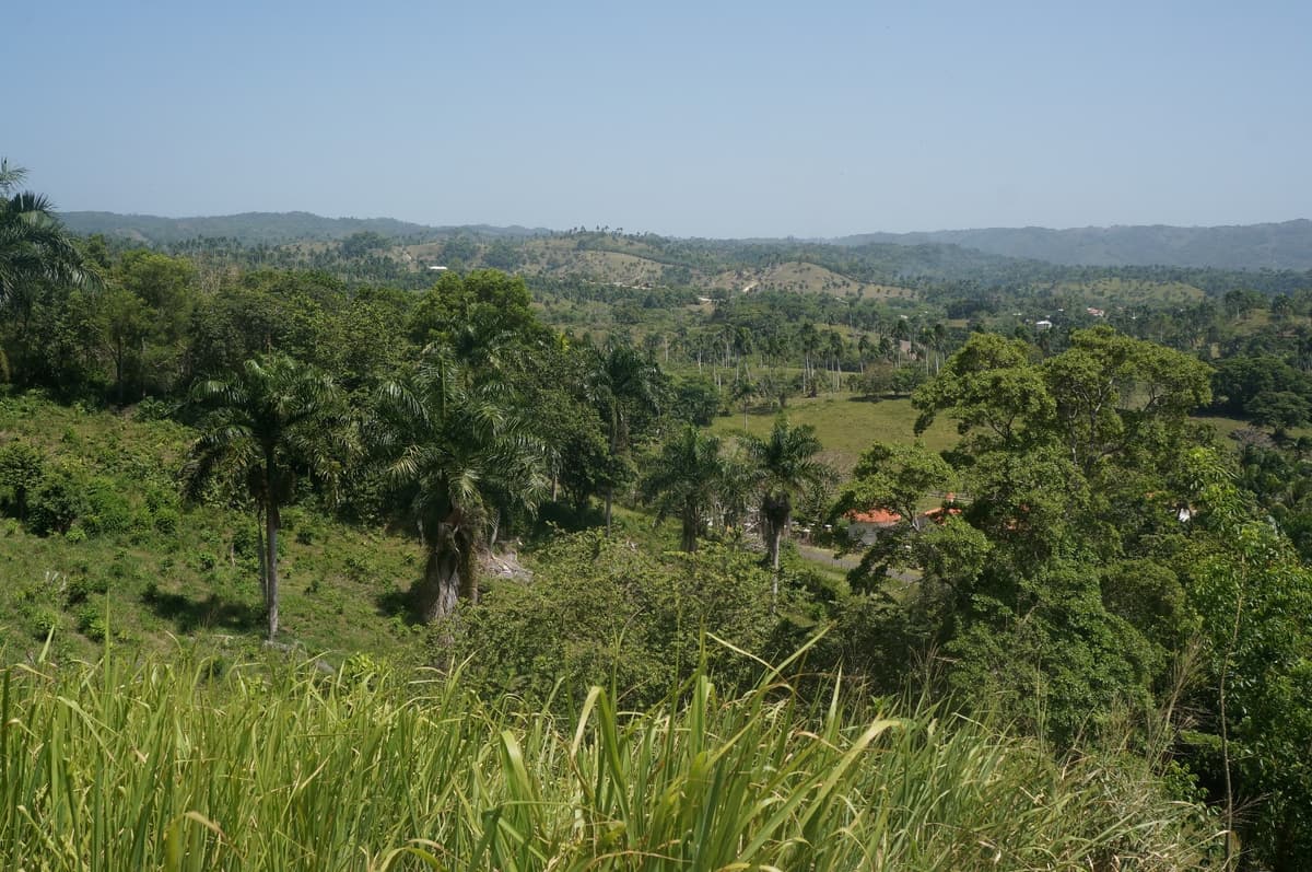 Million Dollar View - Image 3