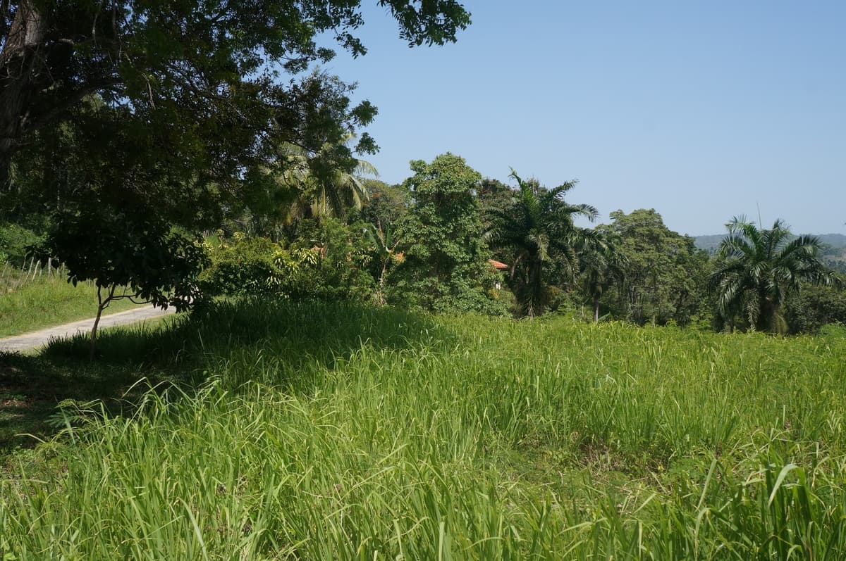 Million Dollar View - Image 4