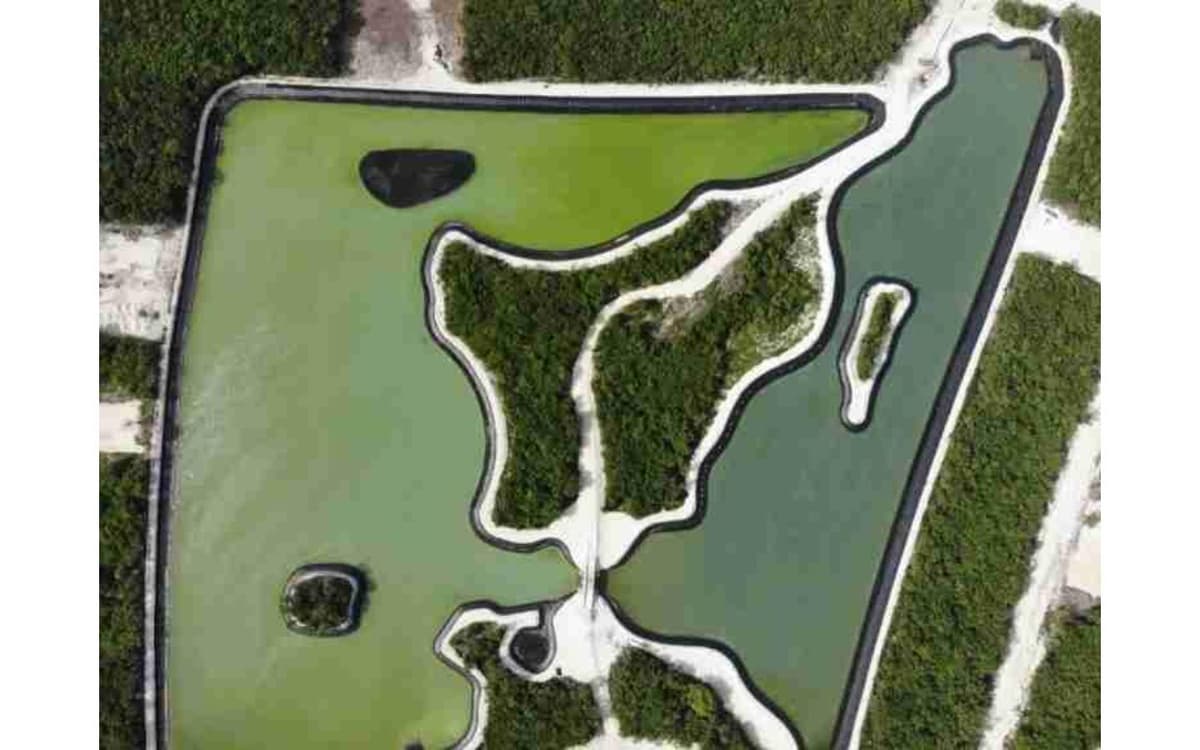Id-1013 Lakeview Land For Sale In Punta Cana Confotur Exempt - Image 3