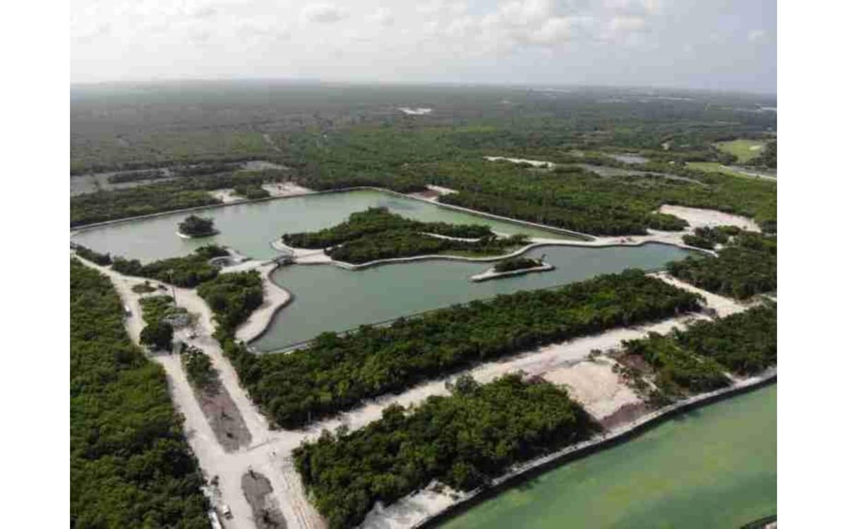 Id-1013 Lakeview Land For Sale In Punta Cana Confotur Exempt - Image 4