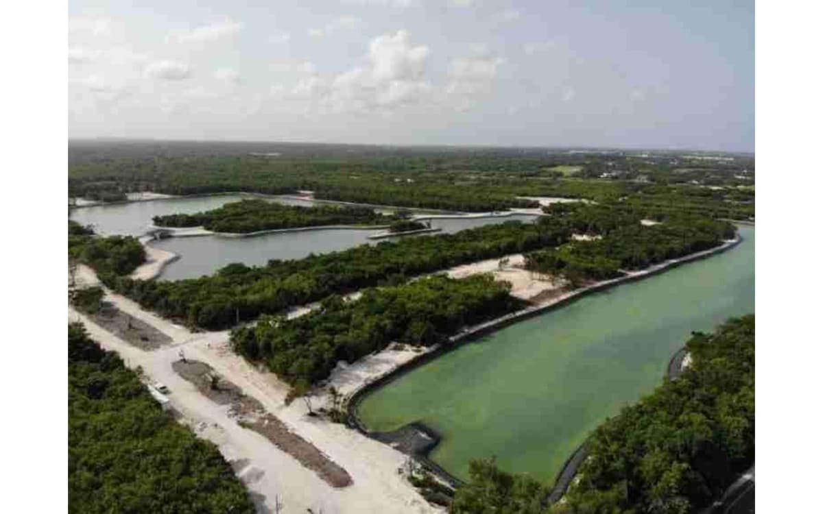 Id-1013 Lakeview Land For Sale In Punta Cana Confotur Exempt - Image 5
