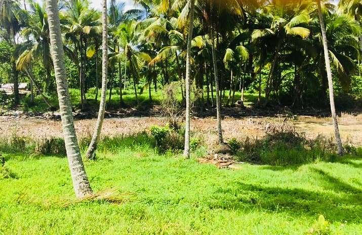 Stunning Land For Build Your Perfect Project