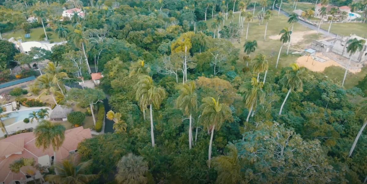 Opportunity 13000m2 At Rock Bottom Price - Image 3