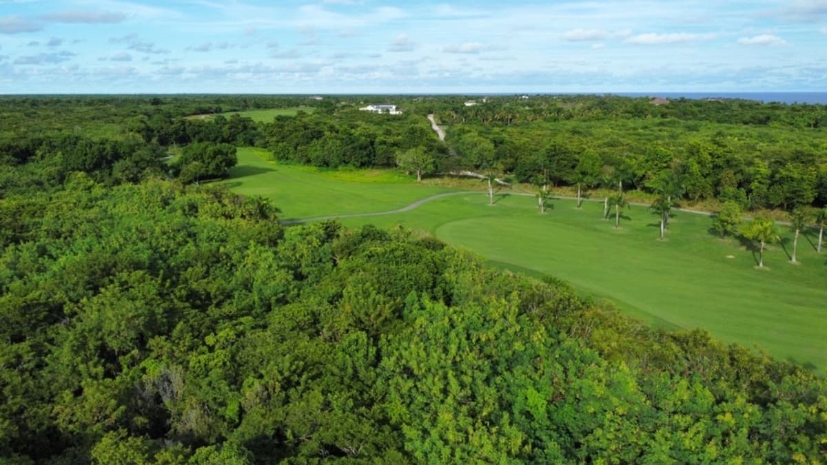 Stunning Plot Of Land In Prestigious Punta Cana Resort & Golf