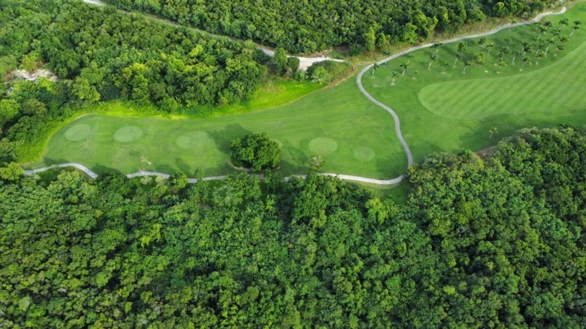Stunning Plot Of Land In Prestigious Punta Cana Resort & Golf - Image 2