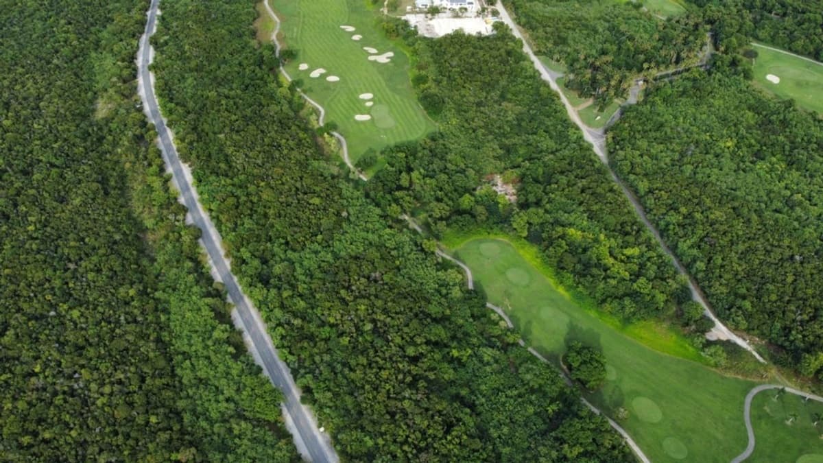 Stunning Plot Of Land In Prestigious Punta Cana Resort & Golf - Image 5