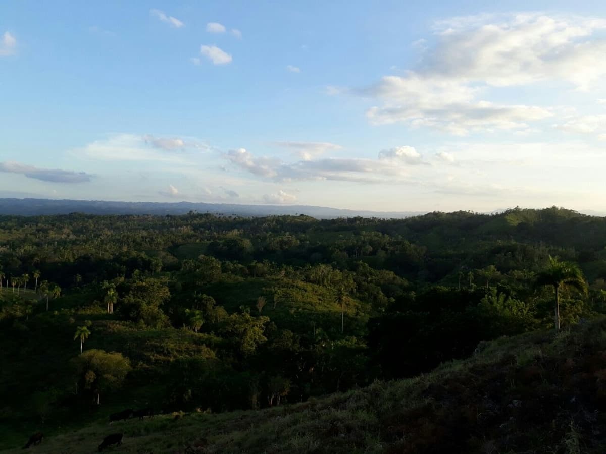 Former Citrics Farm - Image 1