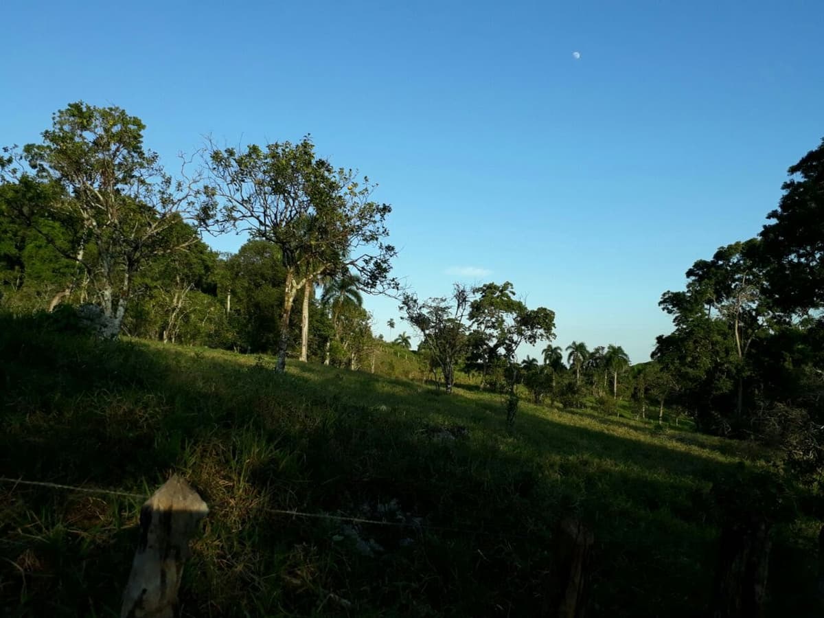 Former Citrics Farm - Image 2