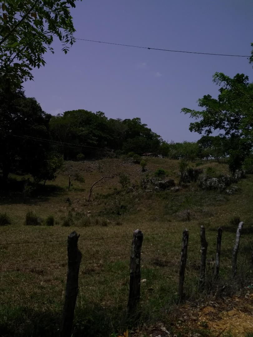 Former Citrics Farm - Image 3