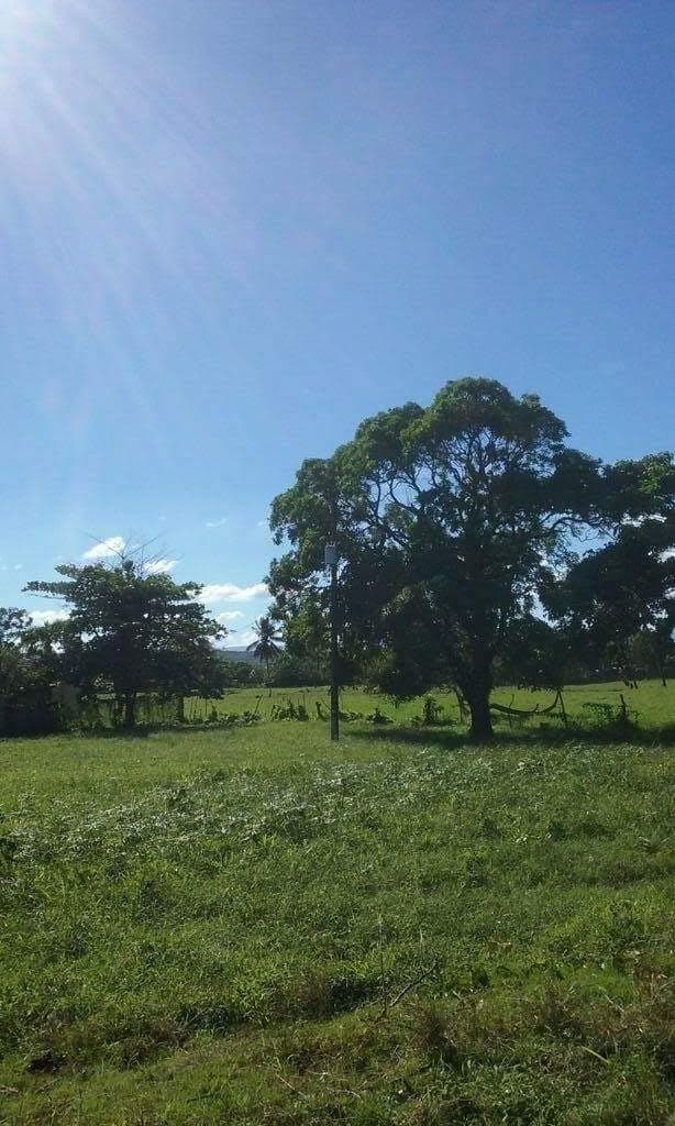 Former Citrics Farm - Image 5