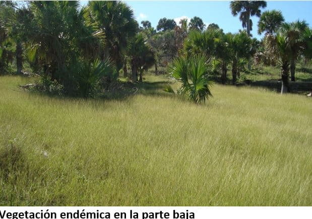Island For Sale Exclusive Investment Gem In Puerto Plata Dr - Image 4