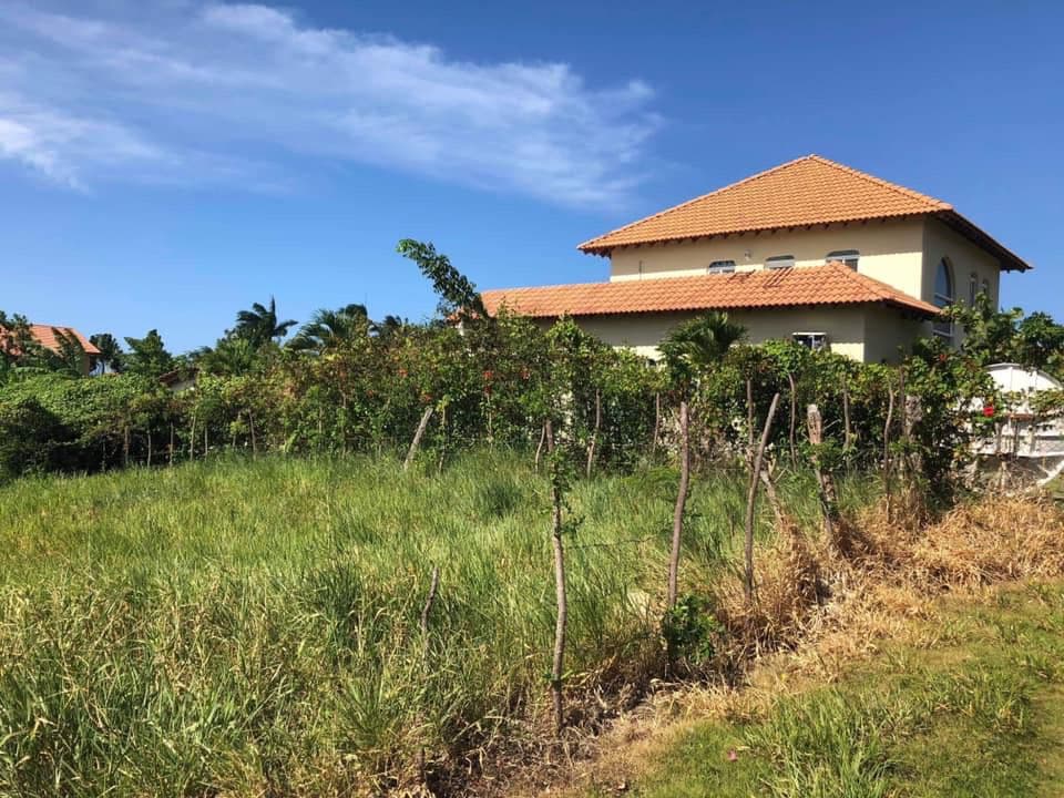 Land For Sale - Image 3