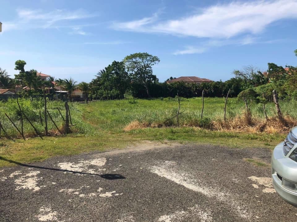 Land For Sale - Image 4