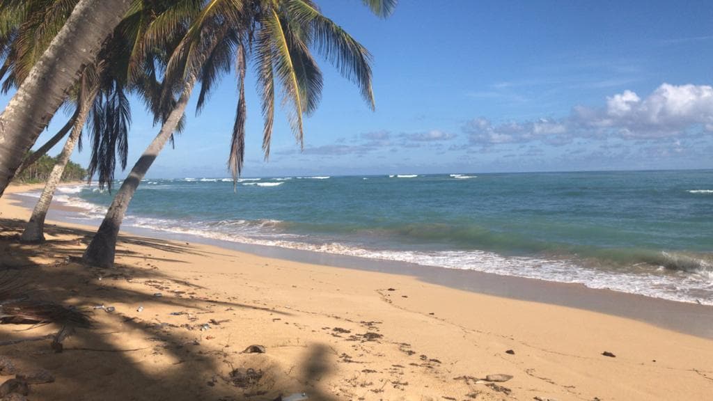 Terreno En Venta Cerca De La Playa