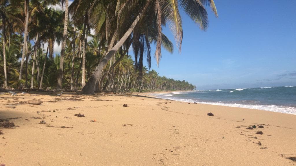 Terreno En Venta Cerca De La Playa - Image 2