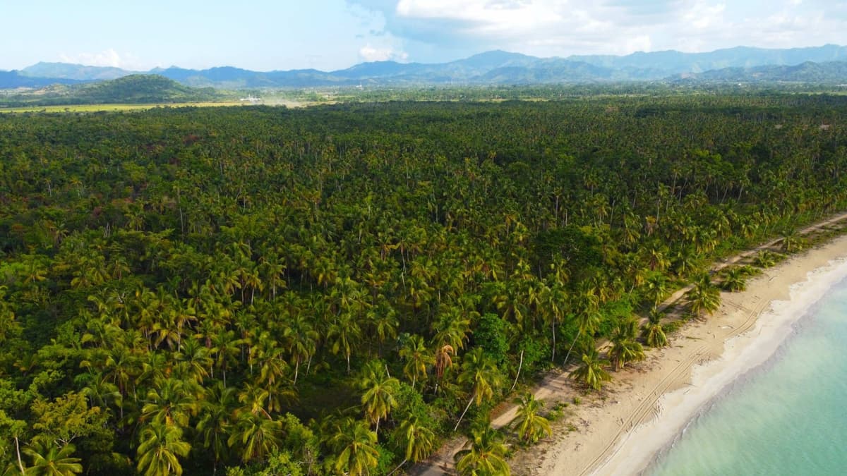 Oceanfront Land With Beach For Hotel Development In Miches - Image 4