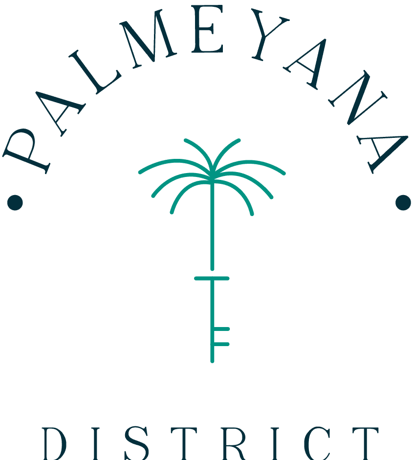 Palmeyana District