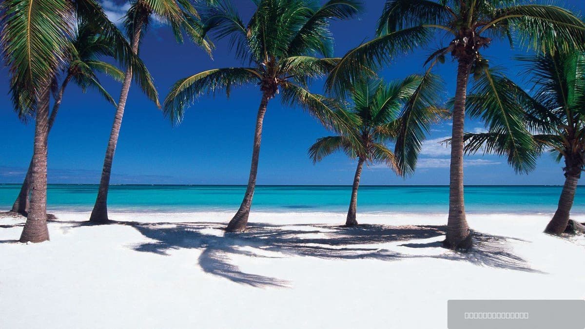 1 Bedroom Apartment in Cap Cana - Image 5