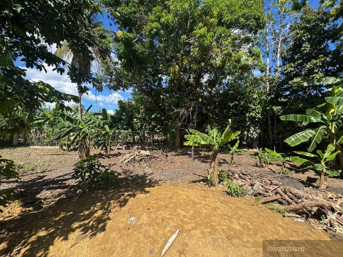 3-Bedroom Fixer-Upper in Veragua, Cabarete - Image 2