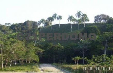 Oceanview Development Lot for sale Near Playa Dorada, Puerto Plata - Image 4