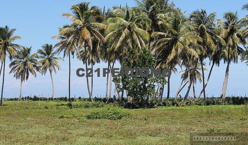 Oceanfront Development Lot for sale in Cabrera - Image 2