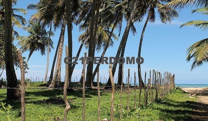 Oceanfront Development Lot for sale in Cabrera - Image 3