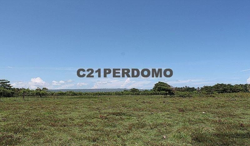 Oceanfront Development Lot for sale in Cabrera - Image 4