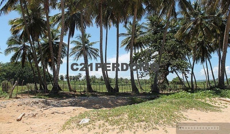 Oceanfront Development Lot for sale in Cabrera - Image 5
