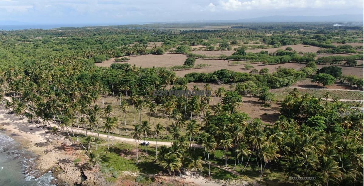 Prime Beachfront Development Lot for Sale in Cabrera, Dominican Republic - Image 3