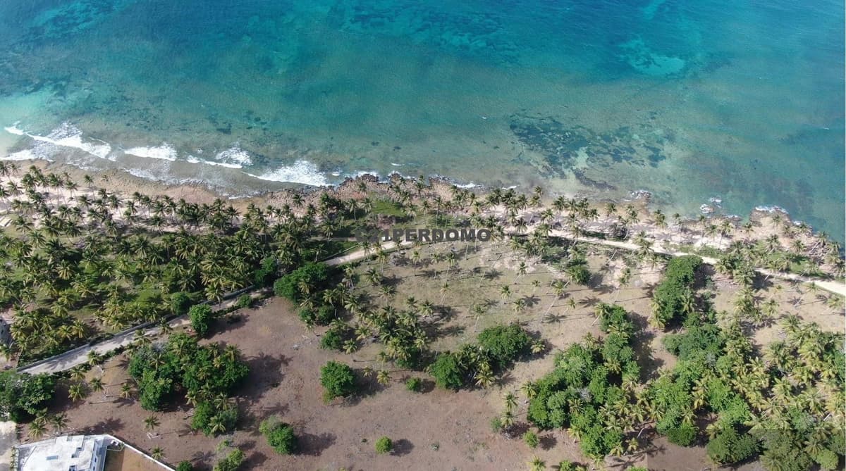 Prime Beachfront Development Lot for Sale in Cabrera, Dominican Republic - Image 4