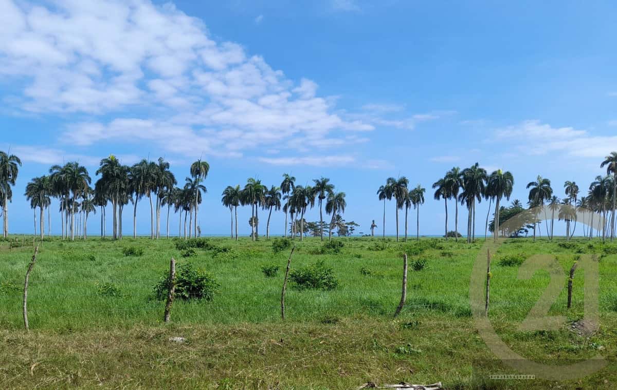Beachfront Land for Sale, Las Cañas, Gaspar Hernández