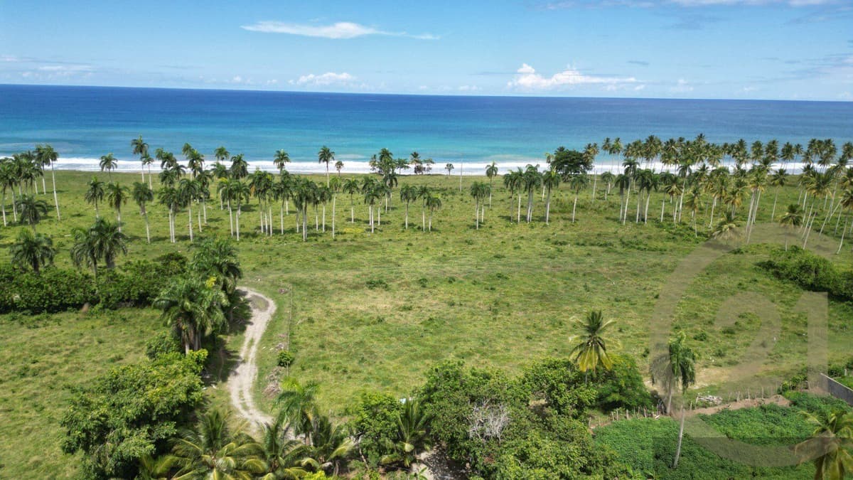 Beachfront Land for Sale, Las Cañas, Gaspar Hernández - Image 2